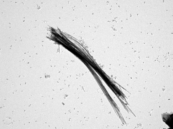 Chrysotile asbestos fiber from Swift Creek viewed in a Transmission Electron Microscope