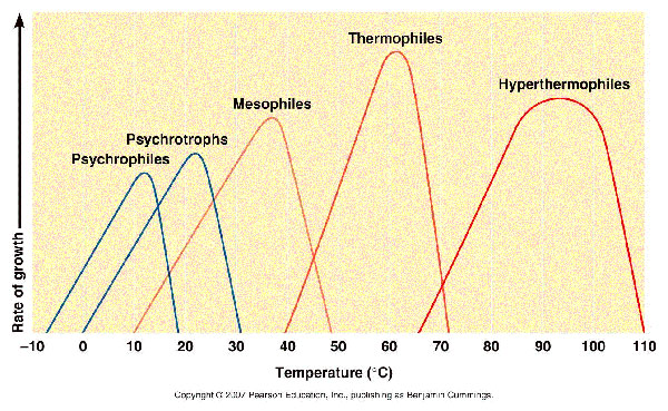 Temperature ranges of organisms (Tortora, 2007).