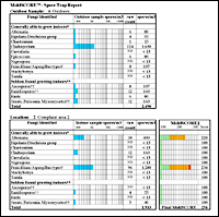 MoldSCORE Sample Report in PDF